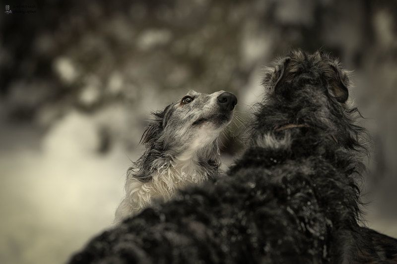 Улан и Гераphoto preview