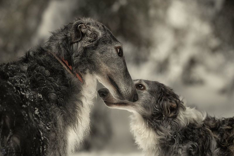 Улан и Гераphoto preview