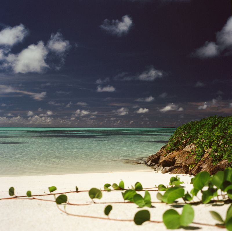 film, analog, analog photo, film photography, пленка, плёночная фотография, medium format, 120mm, 120 film, 6x6, средний формат, bronica, bronica sq-a, Zenzanon, Zenzanon80mm, Fujifilm, Fujichrome, Velvia, Velvia 100, Fujichrome Velvia 100, Fujifilm Velvi photo preview