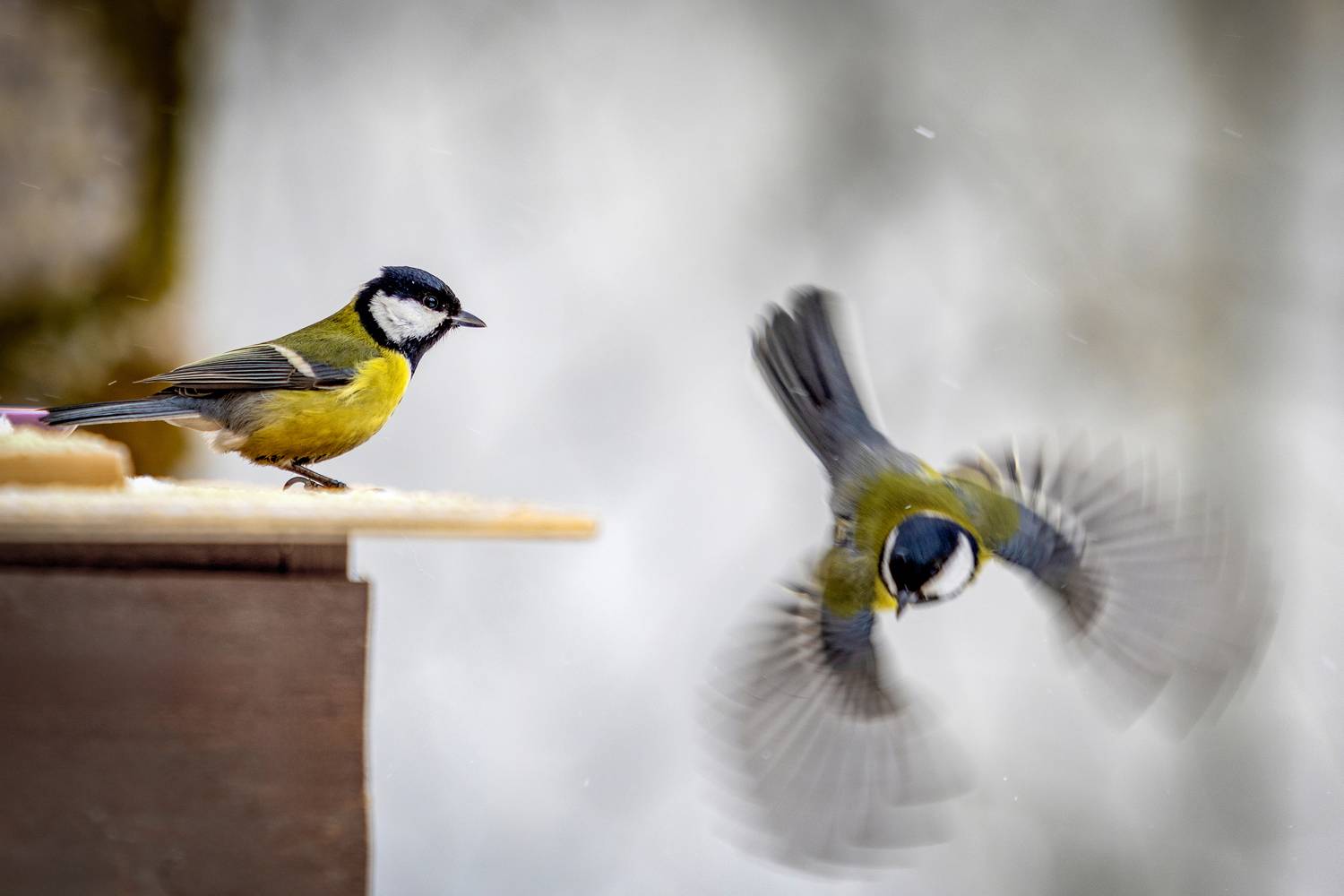 Уроки планирования. Автор: Толяныч , Толяныч