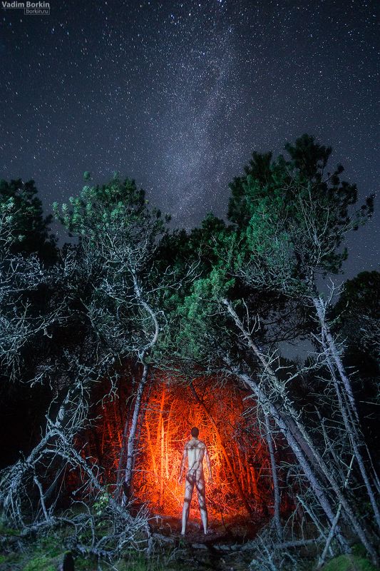 Времена Адамаphoto preview