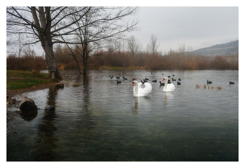 *** фото превью