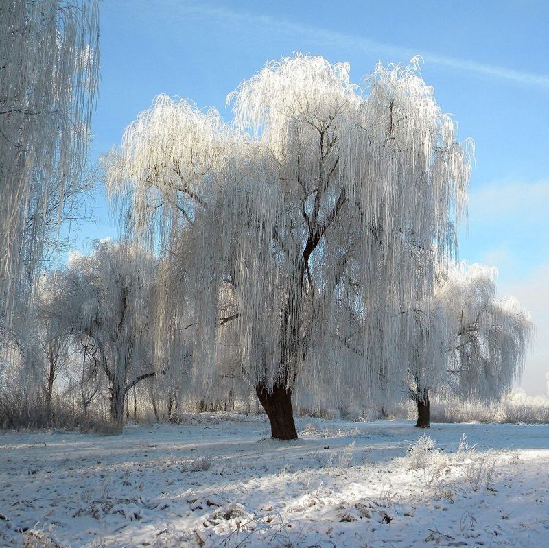 Зимаphoto preview