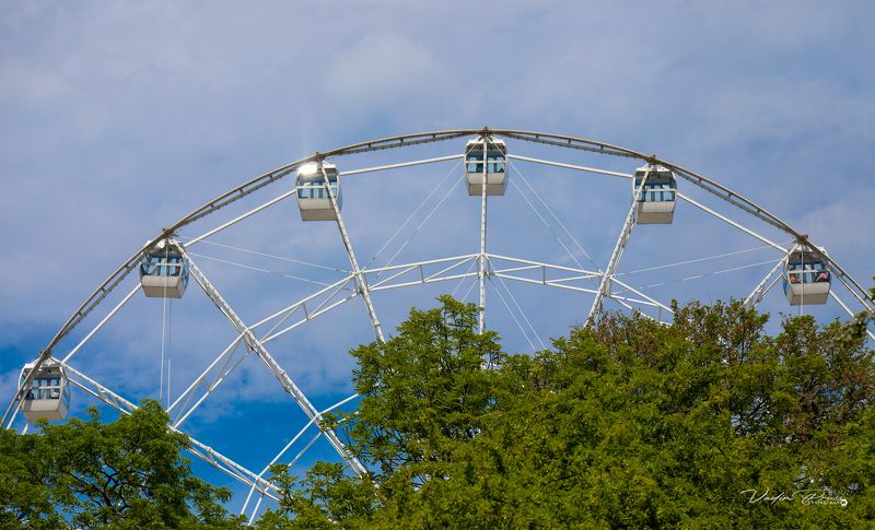 карусели, конструкция, стрит, лето, отдых, Зеленоградск, позитив, Россия, небо, деревья, carousels, construction, street, summer, recreation, Zelenogradsk, positive, Russia, sky, trees Чёртово колесо.photo preview