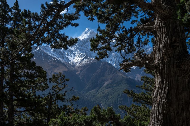 непал, гималаи, горы, nepal, himalaya, mountains  фото превью