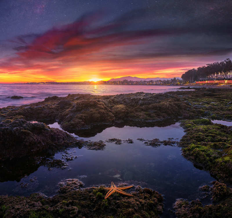 stars beach nebula starfish sunset rocks  starfish looking to the starsphoto preview