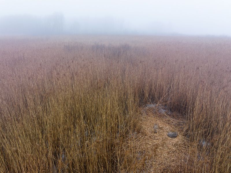 Ты ложись и спокойно спи, а я посторожу...photo preview