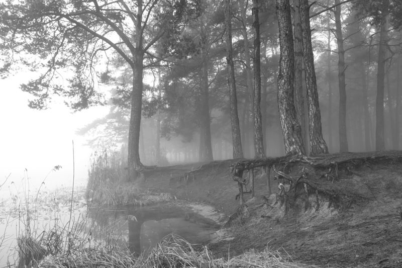 Туманphoto preview