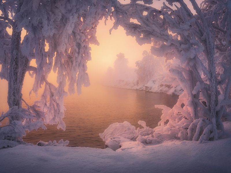 Растворяясь в морозном туманеphoto preview