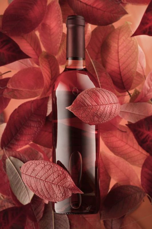 red, черемуха, вино, vine, осень, натюрморт, алкоголь, багровый, бутылка, предметка, photo preview