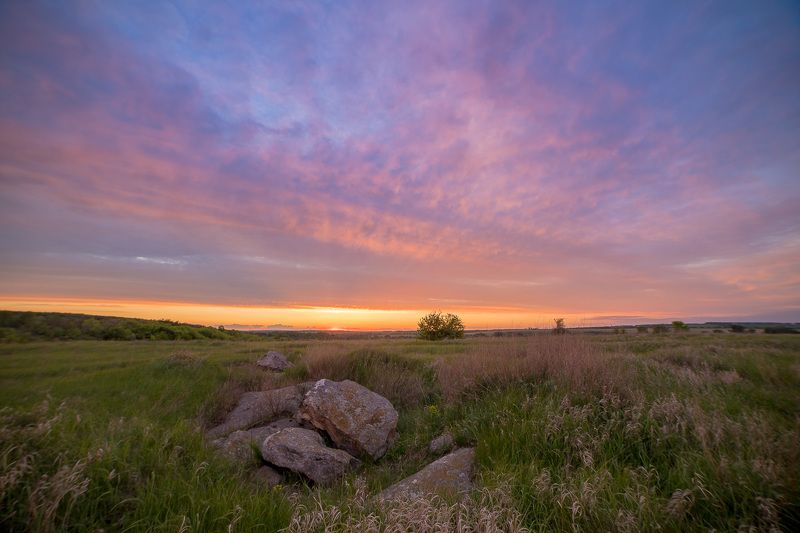 пейзаж, степь, весна, май, landscape, spring, steppe Spring is comingphoto preview