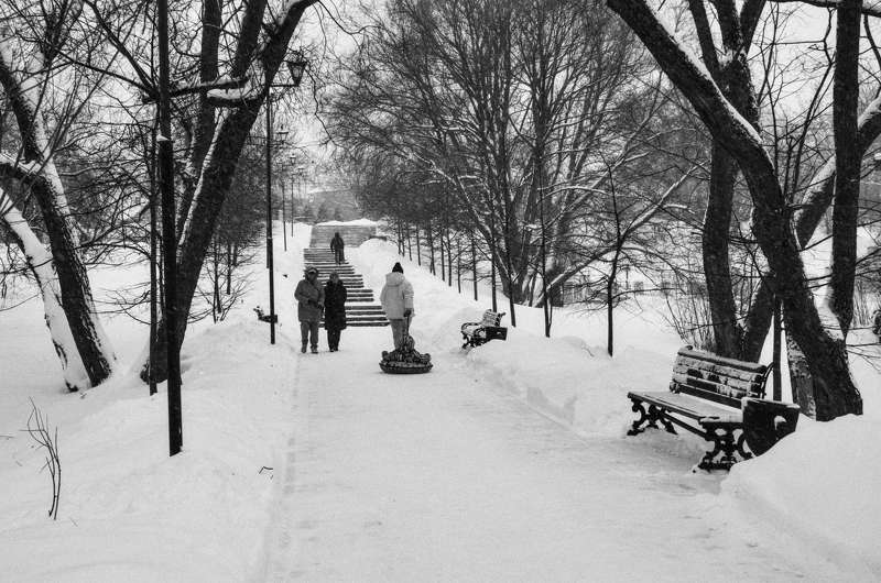пленка, ilford, чб, bw, pan100, nikon, film, analog, b&w, Прогулка в парке Лопасня-Зачатьевское, город Чехов.  фото превью