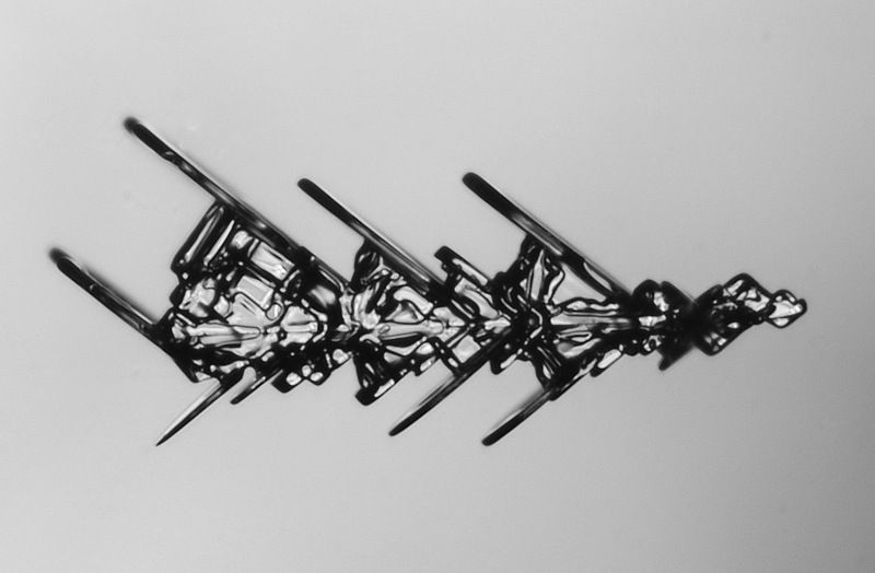 Стрелкаphoto preview