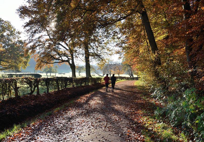 Осенний марафонphoto preview