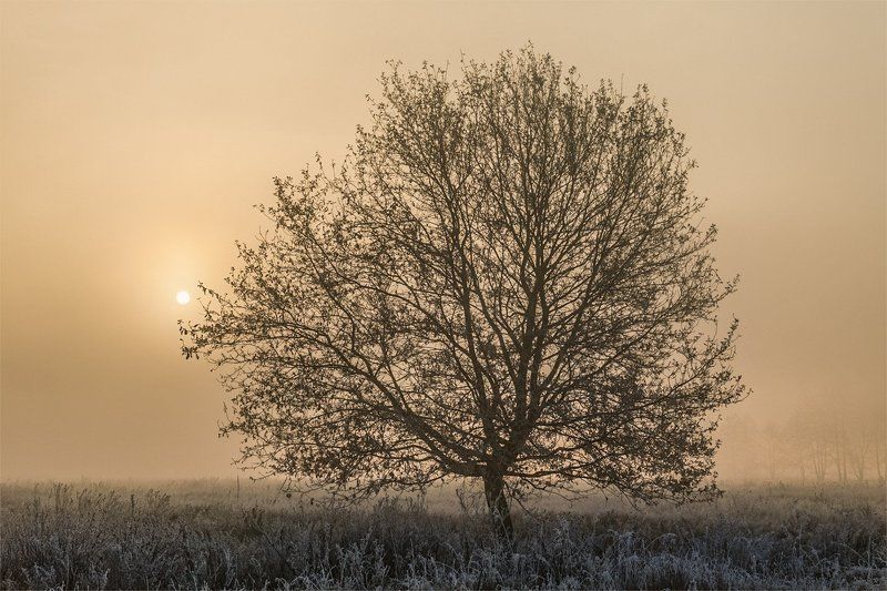 Лаконичный восходphoto preview
