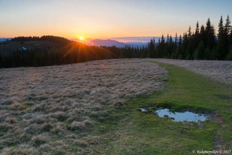 Весеннее солнцеphoto preview