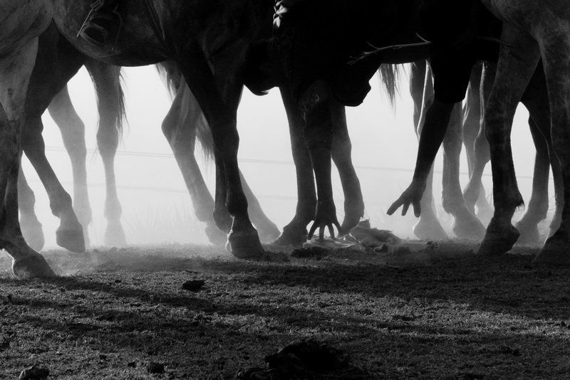 узбекистан, улак, бельдерсай, лошадь Горный Улакphoto preview