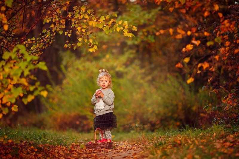 девочка, осень, прогулка, лес Осеньphoto preview