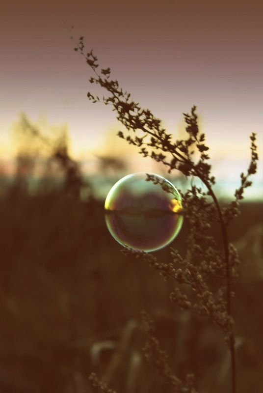 ...мыльный пузырьphoto preview