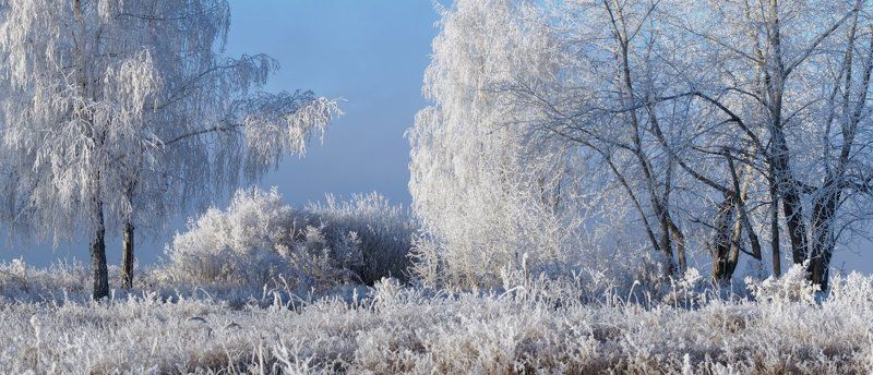 ноябрь Посеребрилоphoto preview