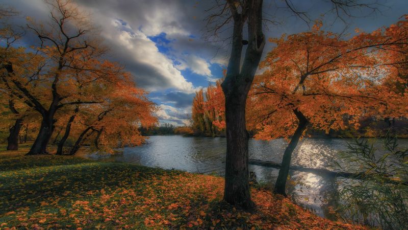 Осенний день.photo preview