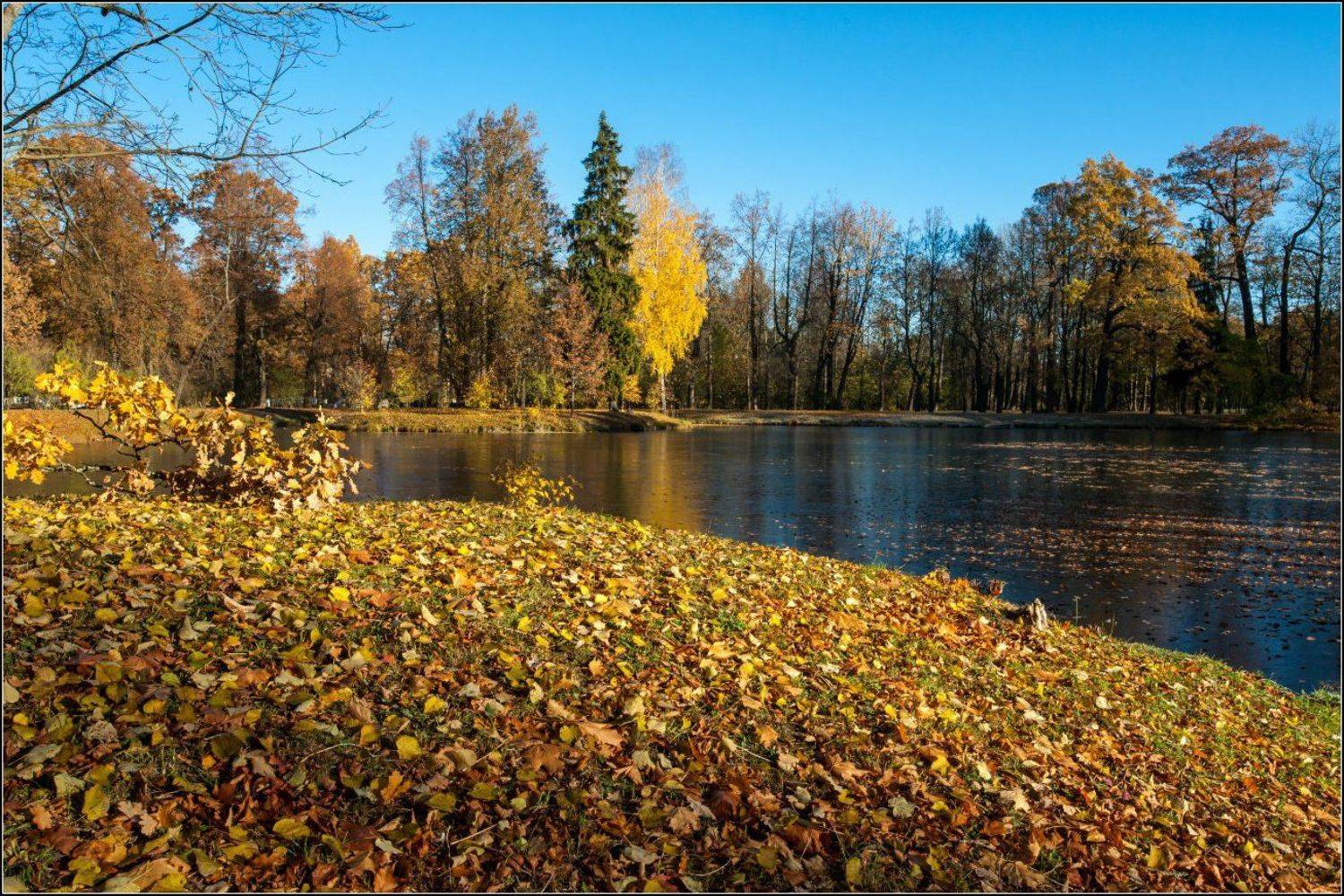 ***. Автор: Cмирнов Юрий , Cмирнов Юрий