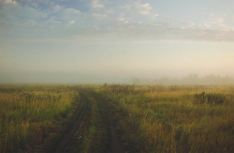 поле, лето, туман, утро Летнее утроphoto preview