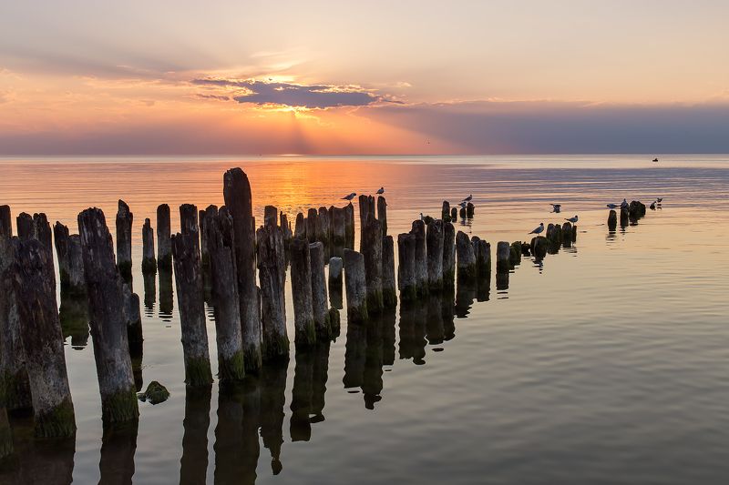 летний вечерphoto preview