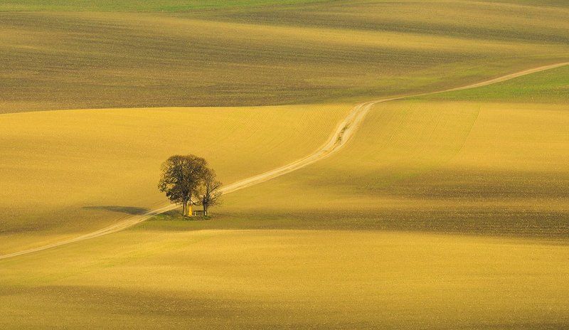 The Roadphoto preview