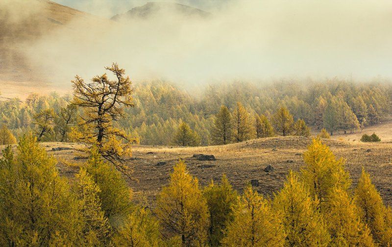 Непогода в горахphoto preview