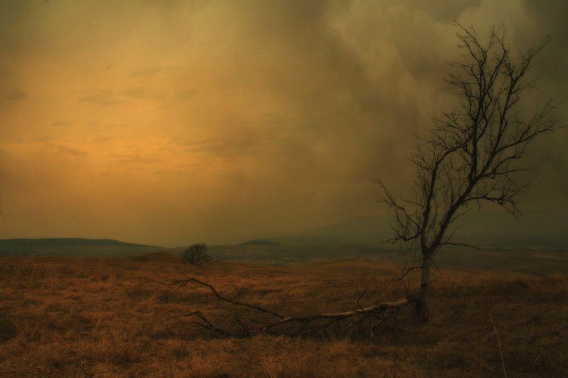 *** фото превью