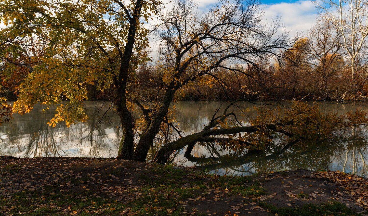 Осень, Утро, Alexander Plekhanov