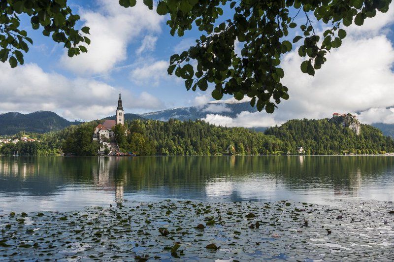 блед, замок, озеро, озеро блед, остров, открытка, словения, храм, церковь Блед открыточныйphoto preview
