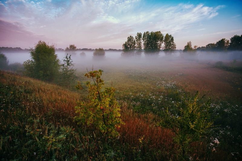 Утренний туманphoto preview