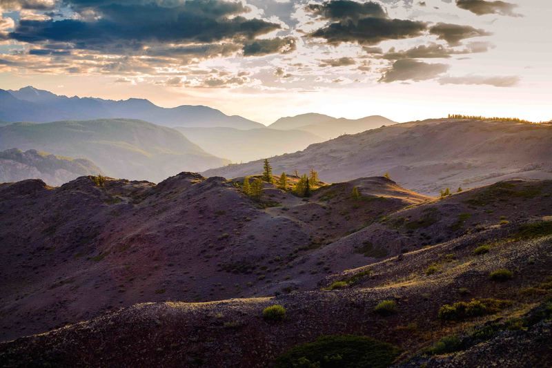 Алтай, Россия, Северо-чуйский хребет, Сибирь Алтай.photo preview