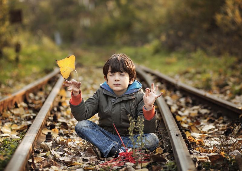 the Leafphoto preview