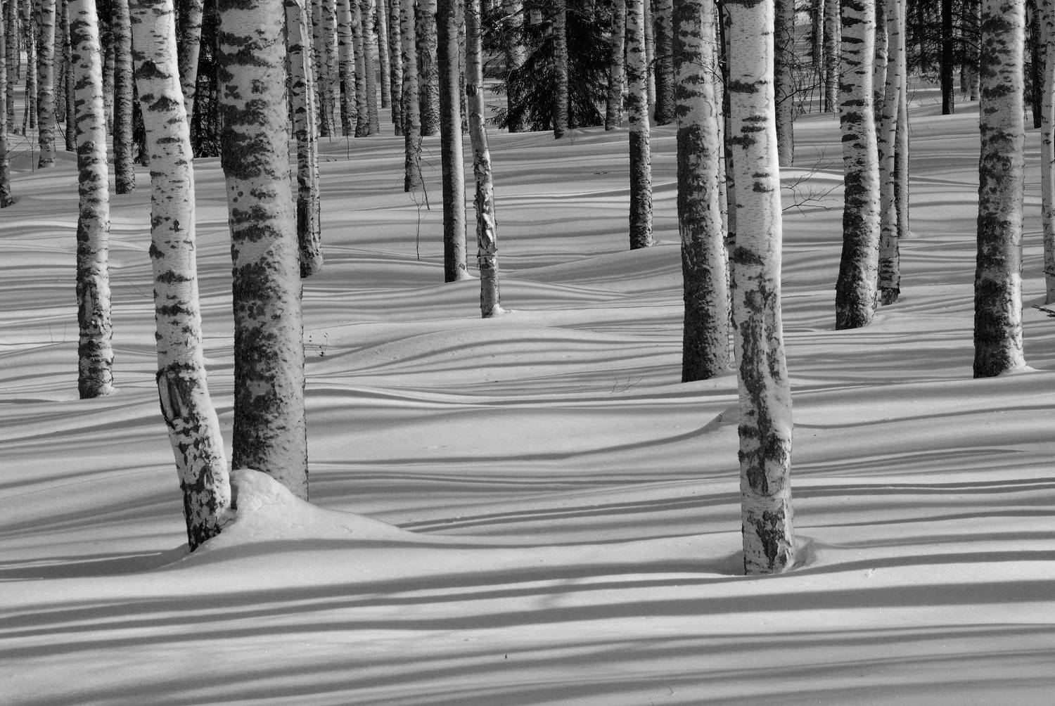 , Андрей Зыкин