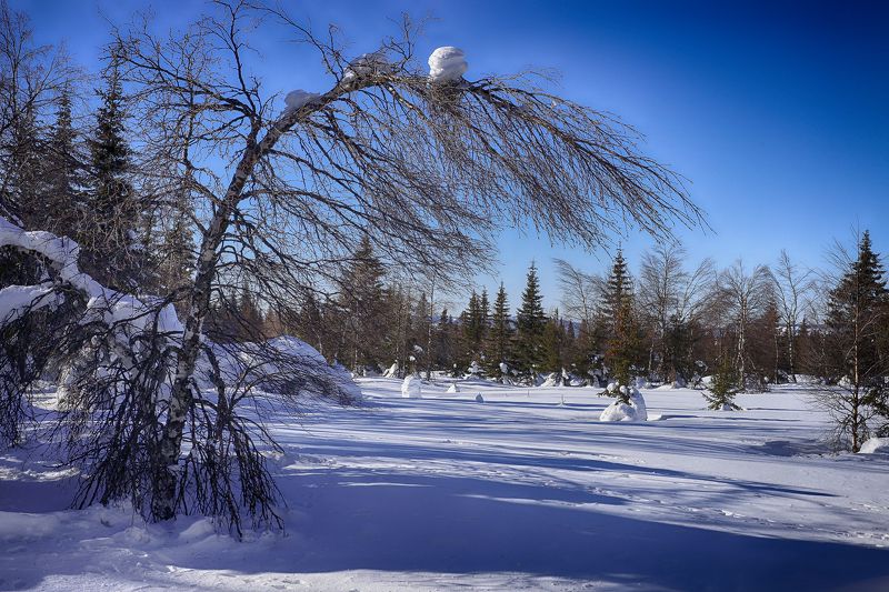 Последние зимы денёчкиphoto preview