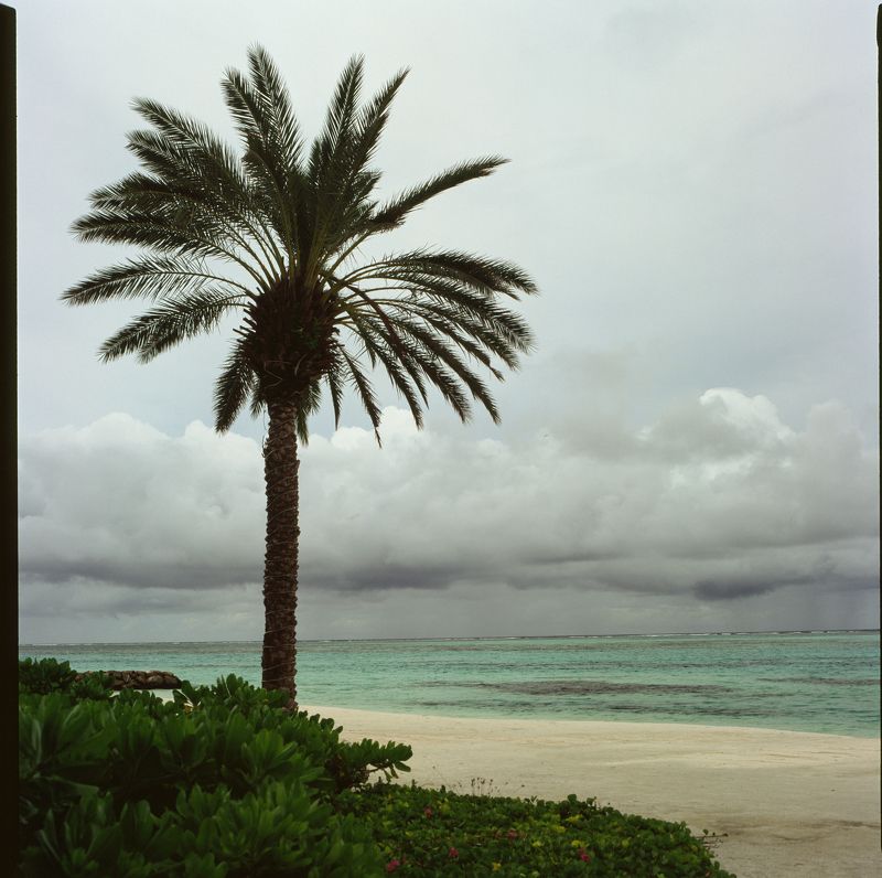 film, analog, analog photo, film photography, пленка, плёночная фотография, medium format, 120mm, 120 film, 6x6, средний формат, bronica, bronica sq-a, Zenzanon, Zenzanon80mm, Fujifilm, Fujichrome, Velvia, Velvia 100, Fujichrome Velvia 100, Fujifilm Velvi photo preview