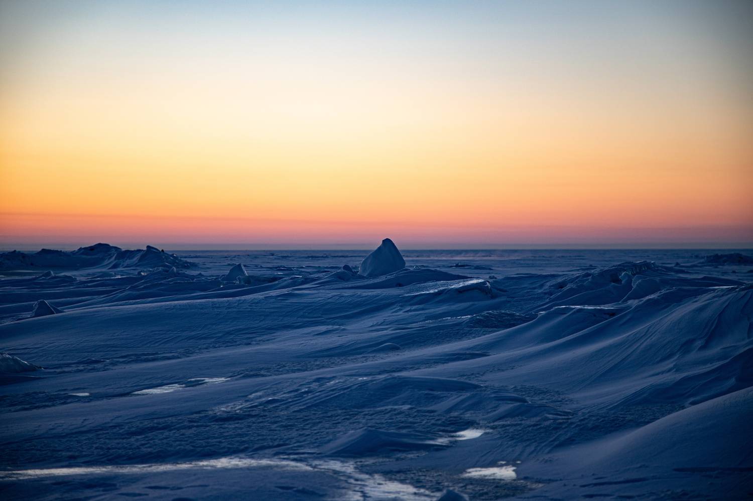 , Елена Герасимова
