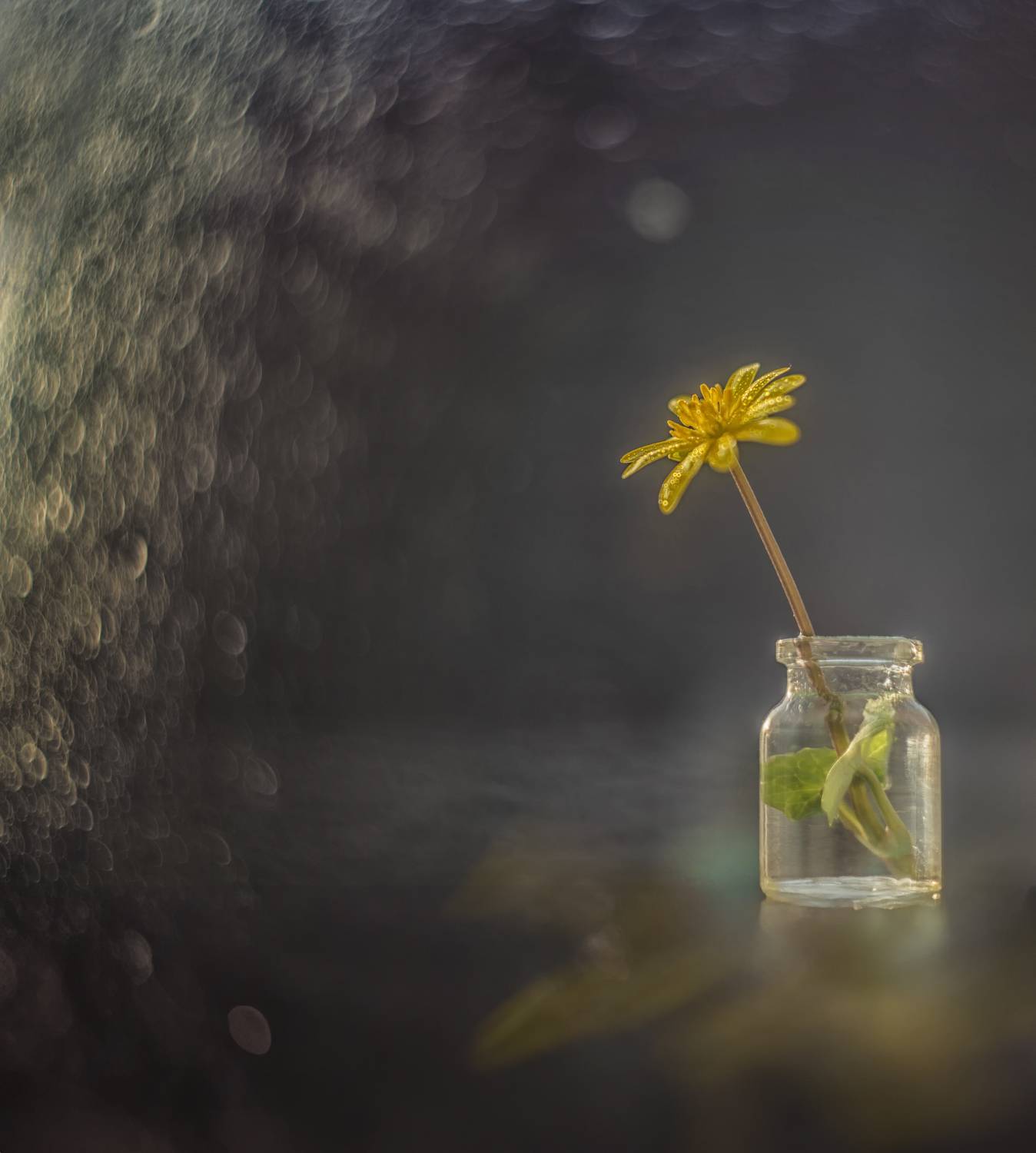 , Сигидова Ирина