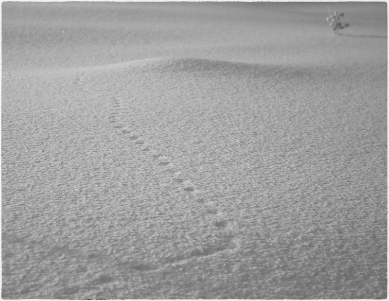 ... зима на исходеphoto preview