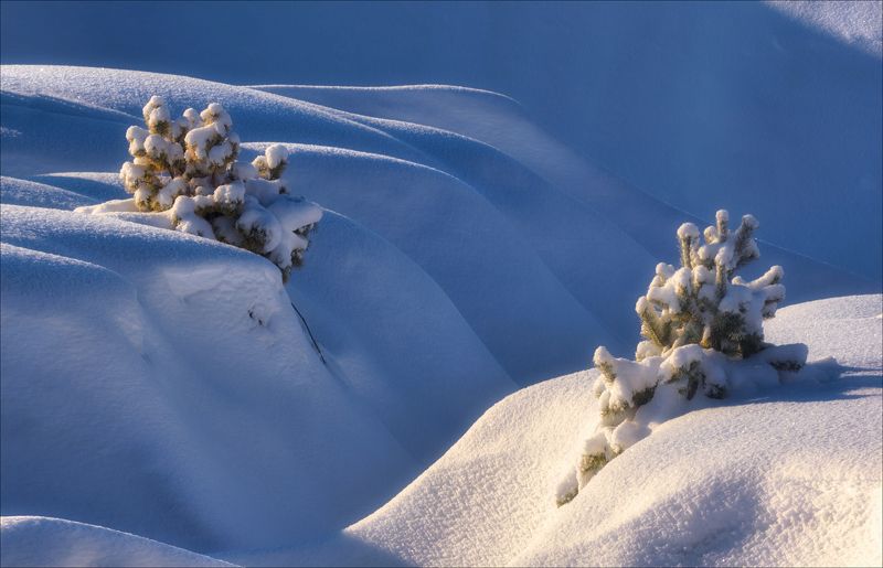 По снежным волнамphoto preview