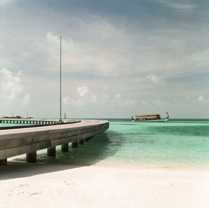 film, analog, analog photo, film photography, пленка, плёночная фотография, medium format, 120mm, 120 film, 6x6, средний формат, bronica, bronica sq-a, Zenzanon, Zenzanon80mm, Fujifilm, Fujicolor, Pro 400H, Fujifilm Pro 400H, Fujicolor Pro 400H, Fuji Pro  photo preview