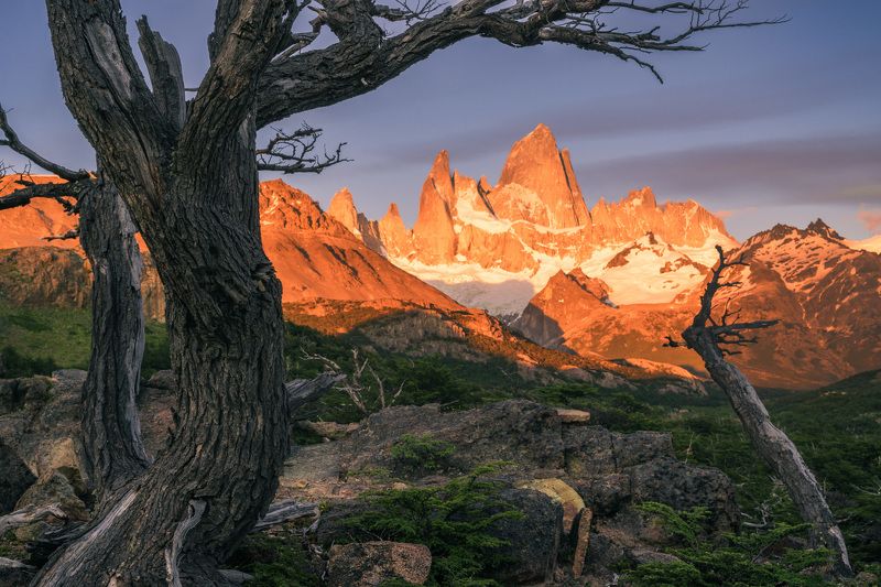 Рассвет с видом на Фицройphoto preview