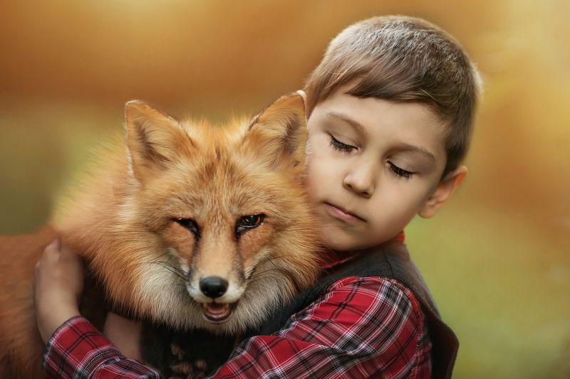 фото превью