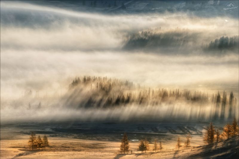 горный алтай, курай, курайская степь, фототур на алтай, осенний фототур на алтай, осень Утренние силуэтыphoto preview