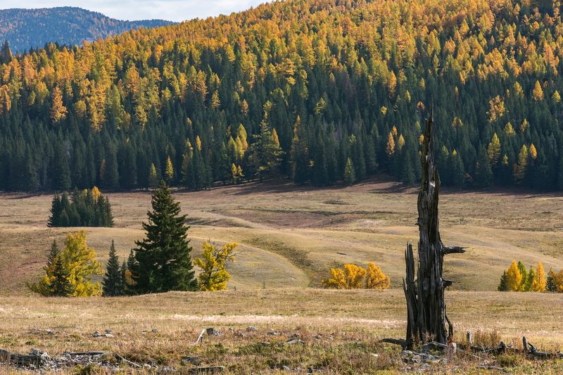 алтай. photo preview