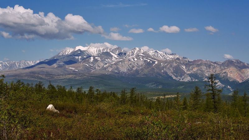 Мункуphoto preview