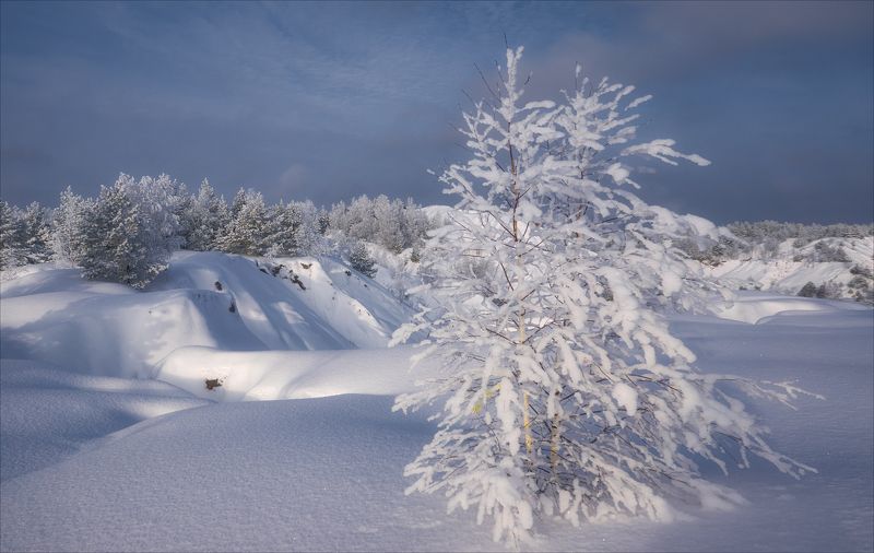 Не шелохнуться...photo preview